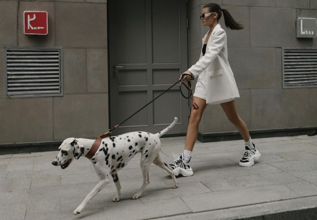 Pet Walk Bellavista 2026